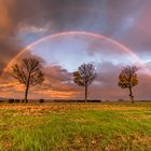 Herbstlicht mit Regenbogen 