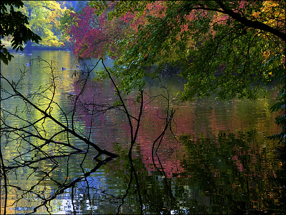 Herbstlicht oder herbstlich :-)