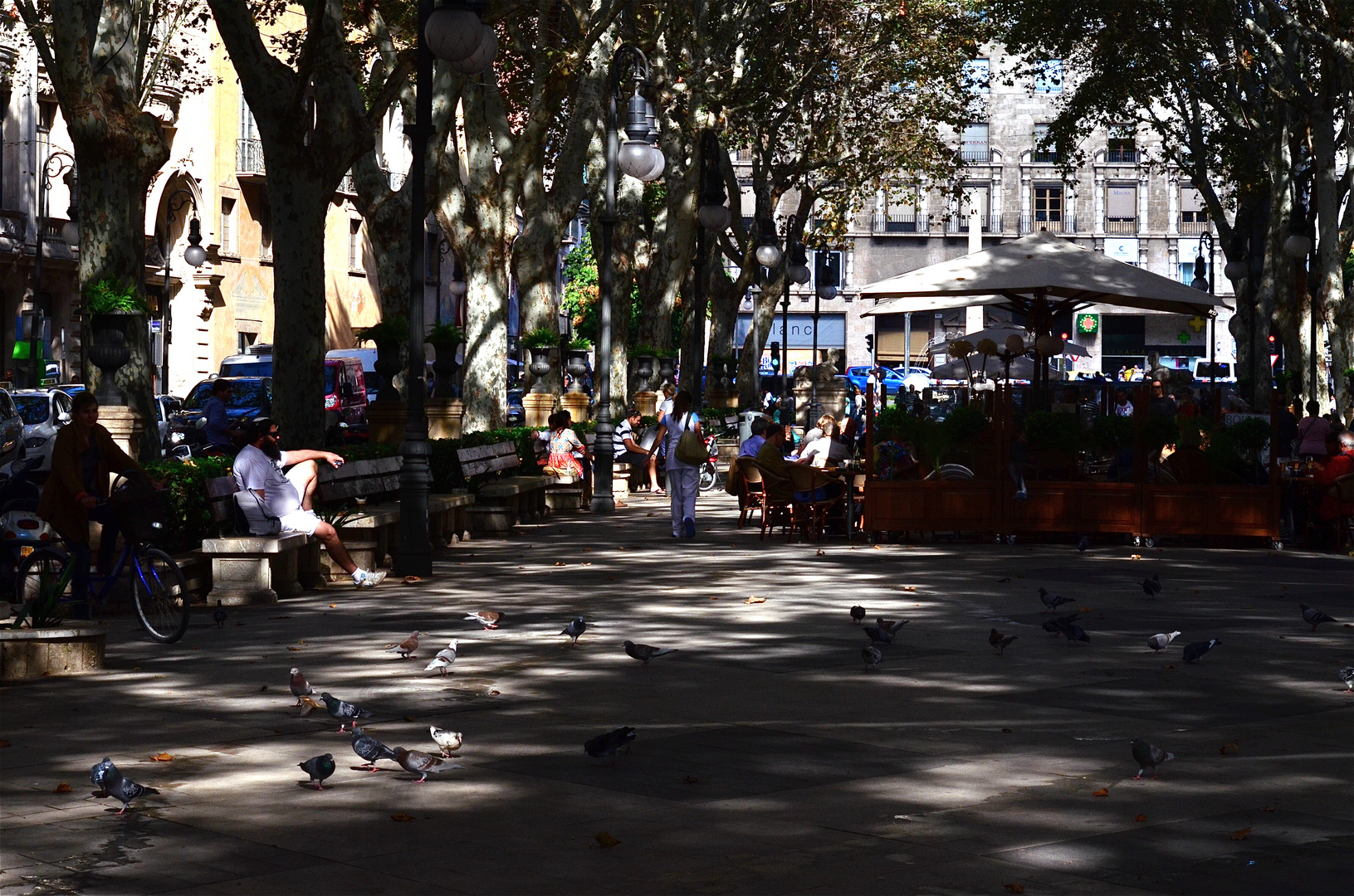 Herbstlicht - Passeig d`èl Born Palma