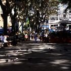 Herbstlicht - Passeig d`èl Born Palma