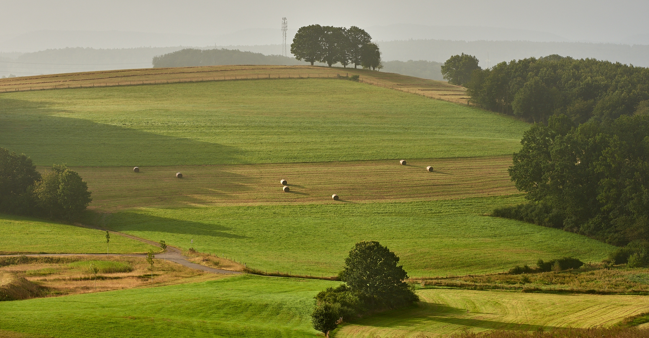 Herbstlicht, ringsherum dichter Nebel und genau an der richtigen Stelle kam die Sonne heraus.