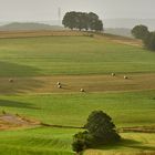 Herbstlicht, ringsherum dichter Nebel und genau an der richtigen Stelle kam die Sonne heraus.