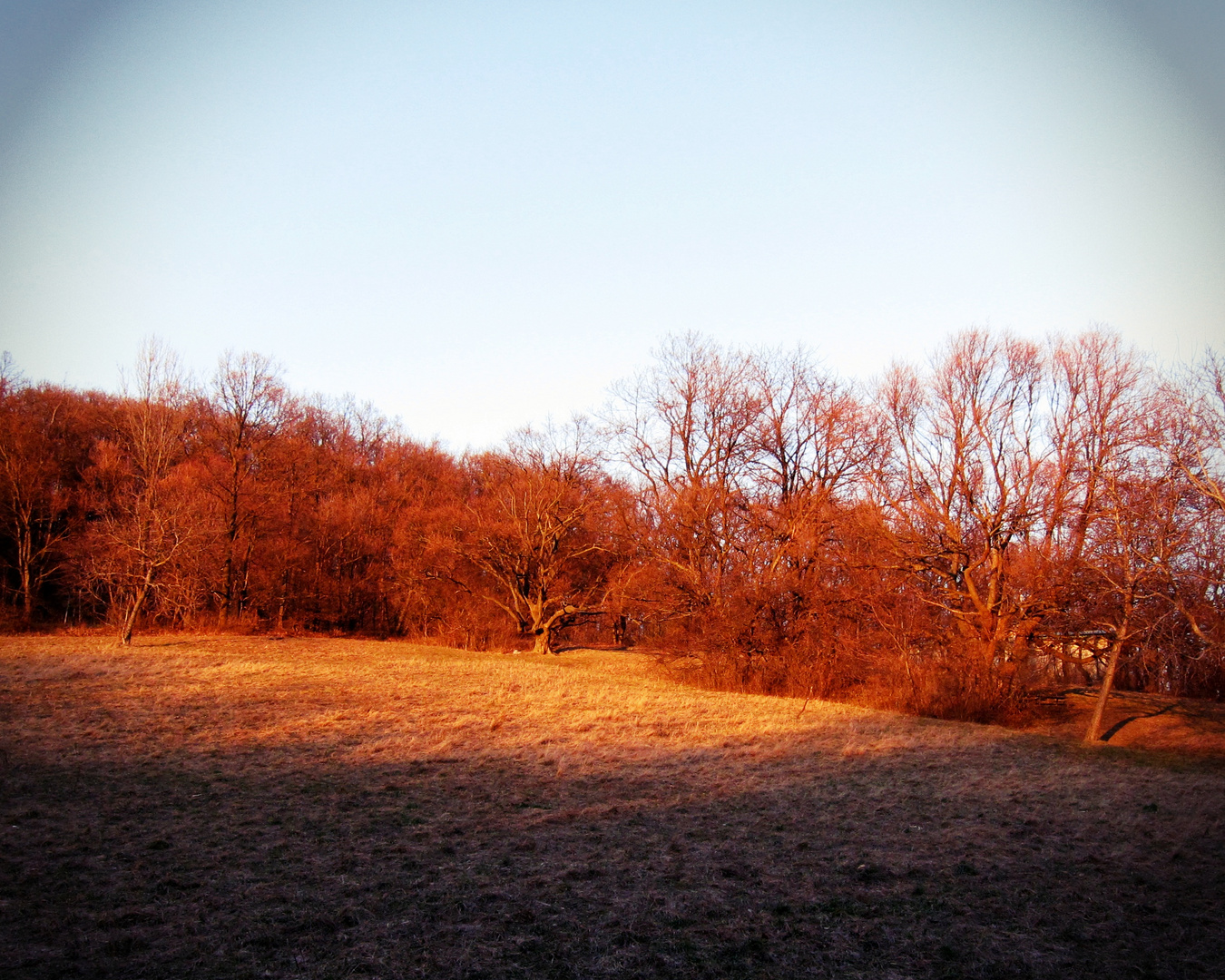 Herbstlicht Stimmung