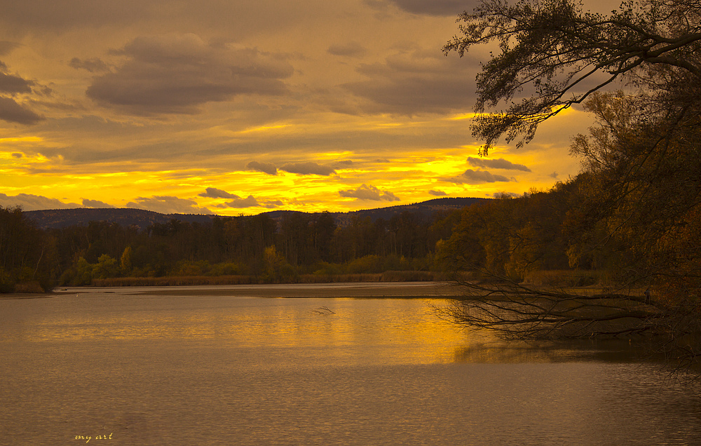 Herbstlicht über dem Teich von Deutschbaselitz