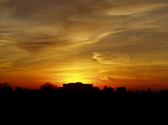 Herbstlicht über Hamburg