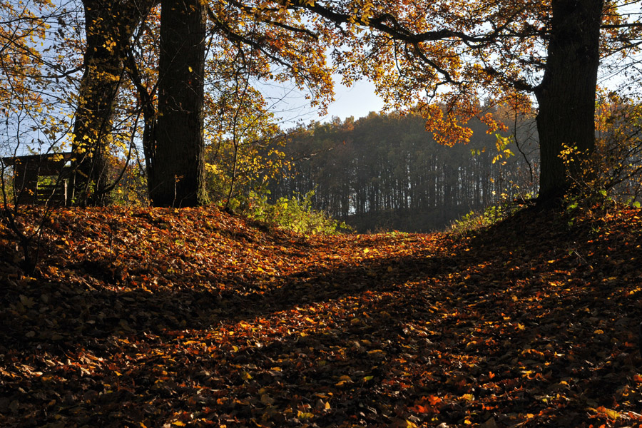 Herbst.Licht und Schatten