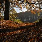 Herbst.Licht und Schatten