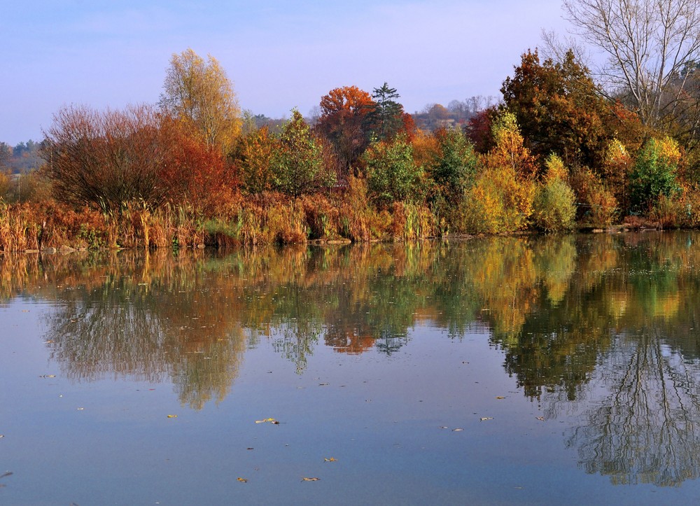 herbstlichter (1)