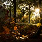 Herbstlichter