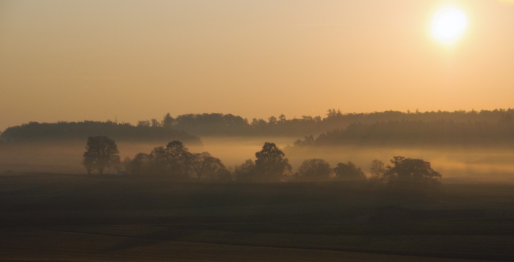 herbstlichter (2)