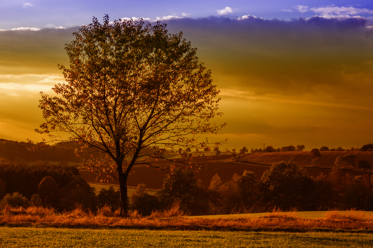 Herbstlichter