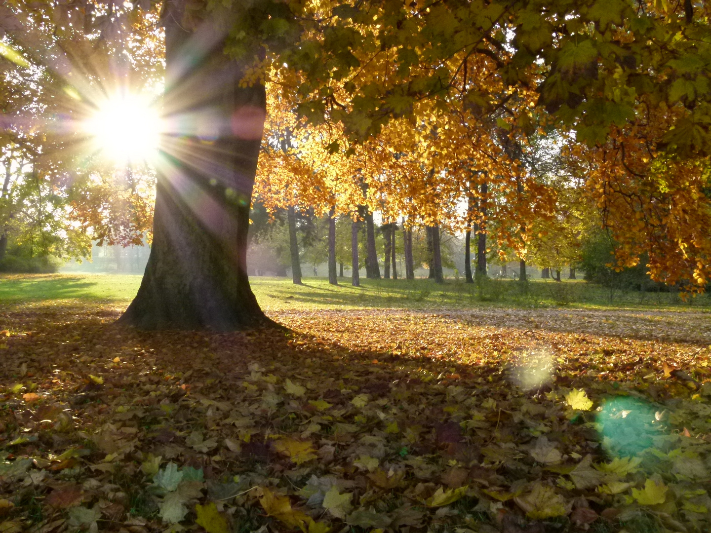 Herbstlichter