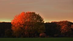 Herbstlichter