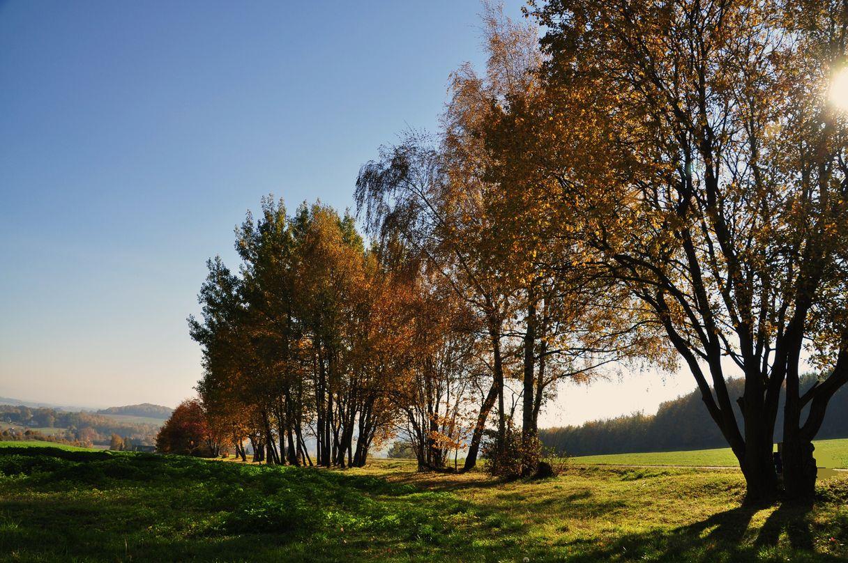 Herbstlichter