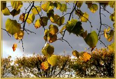 Herbstlichter