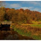 herbstlichter (8)