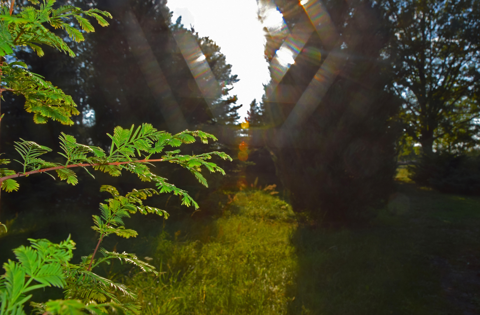 Herbstlichter