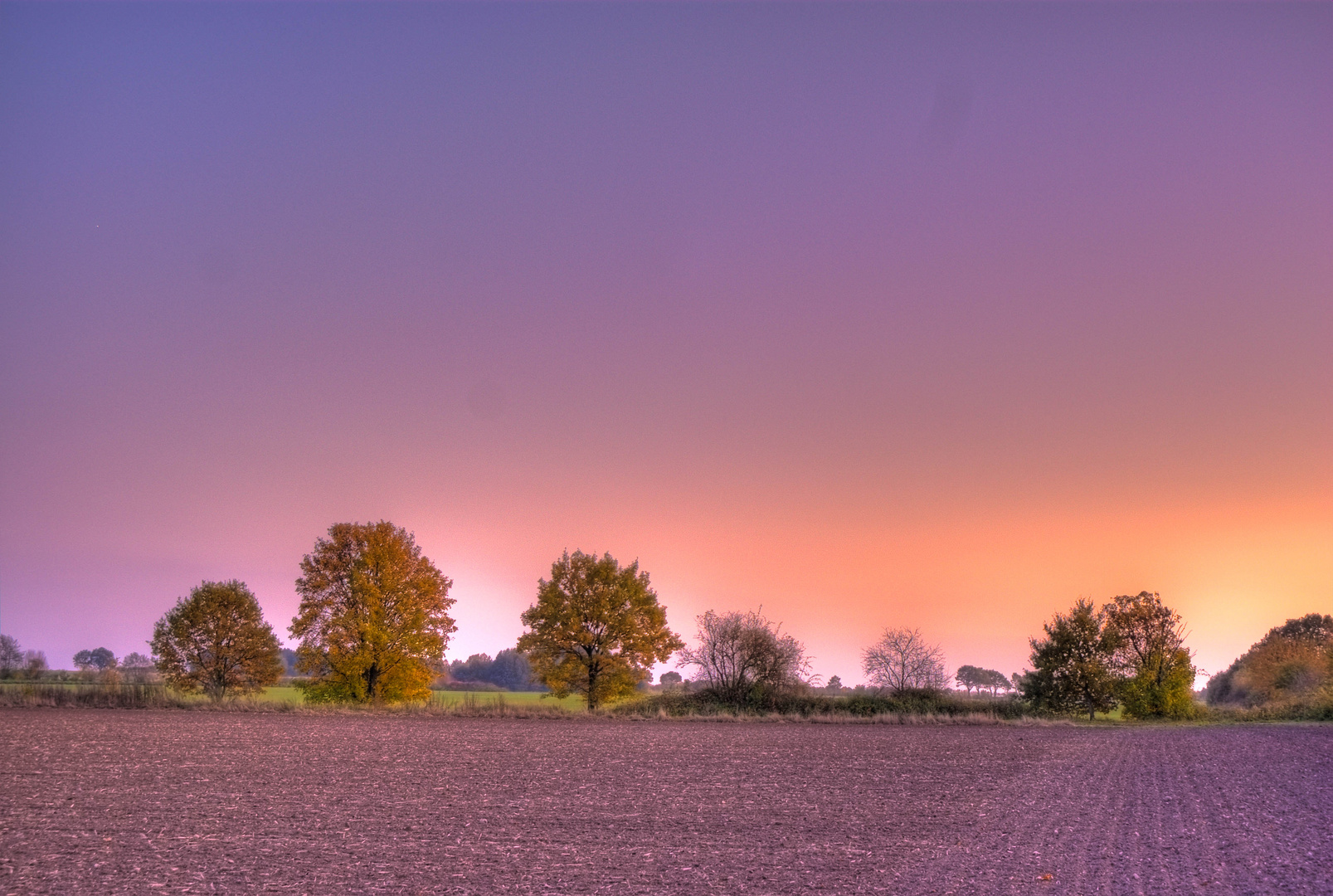 Herbstlichter (Blasebusch Büchen)