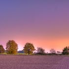 Herbstlichter (Blasebusch Büchen)