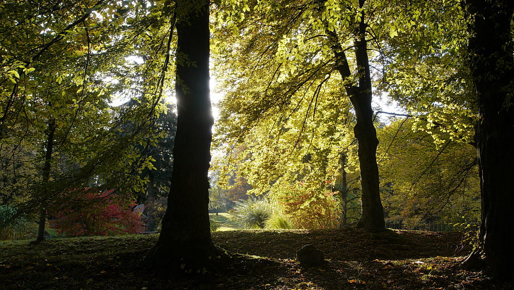 Herbstlichter