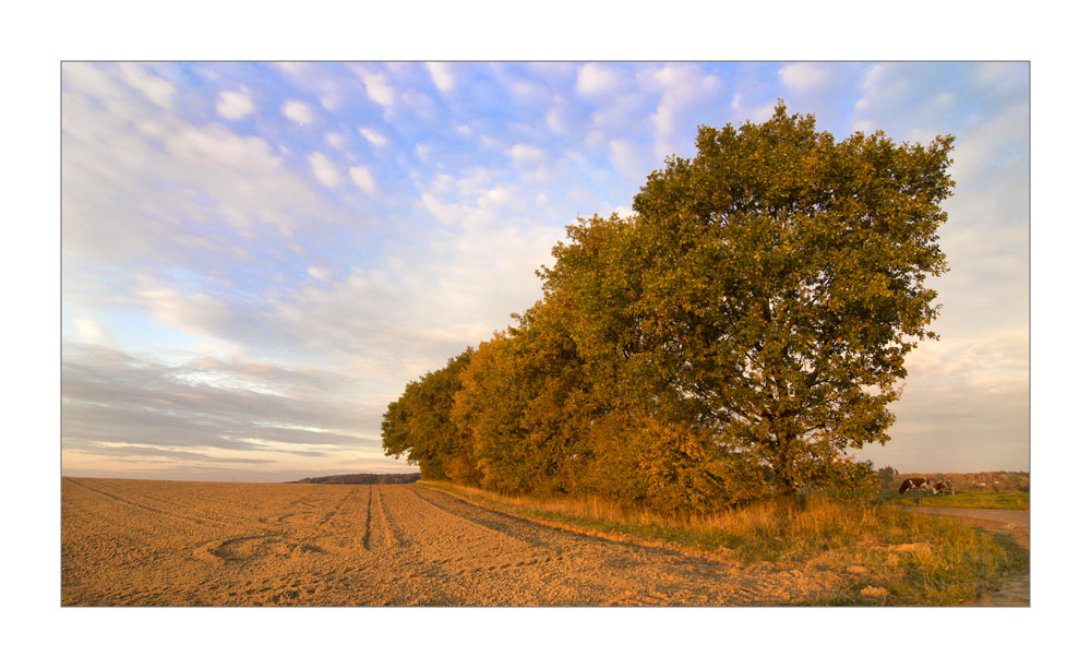 Herbstlichter