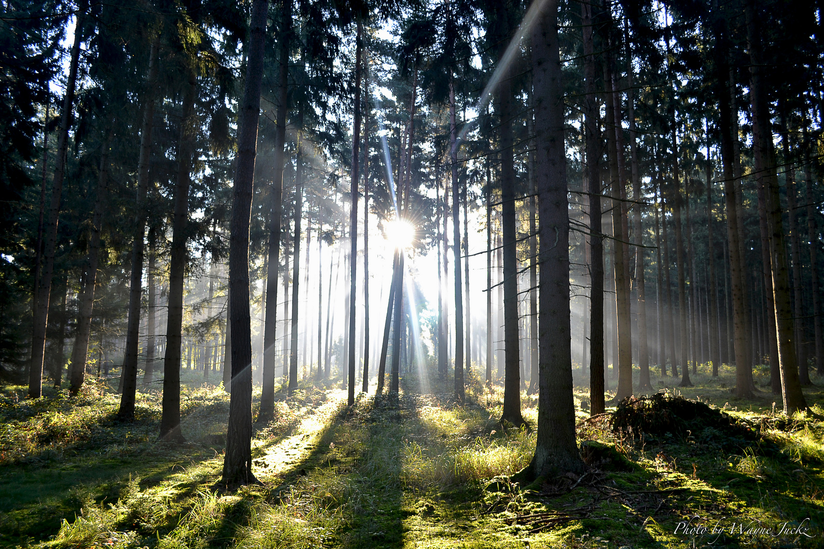 Herbstlichter