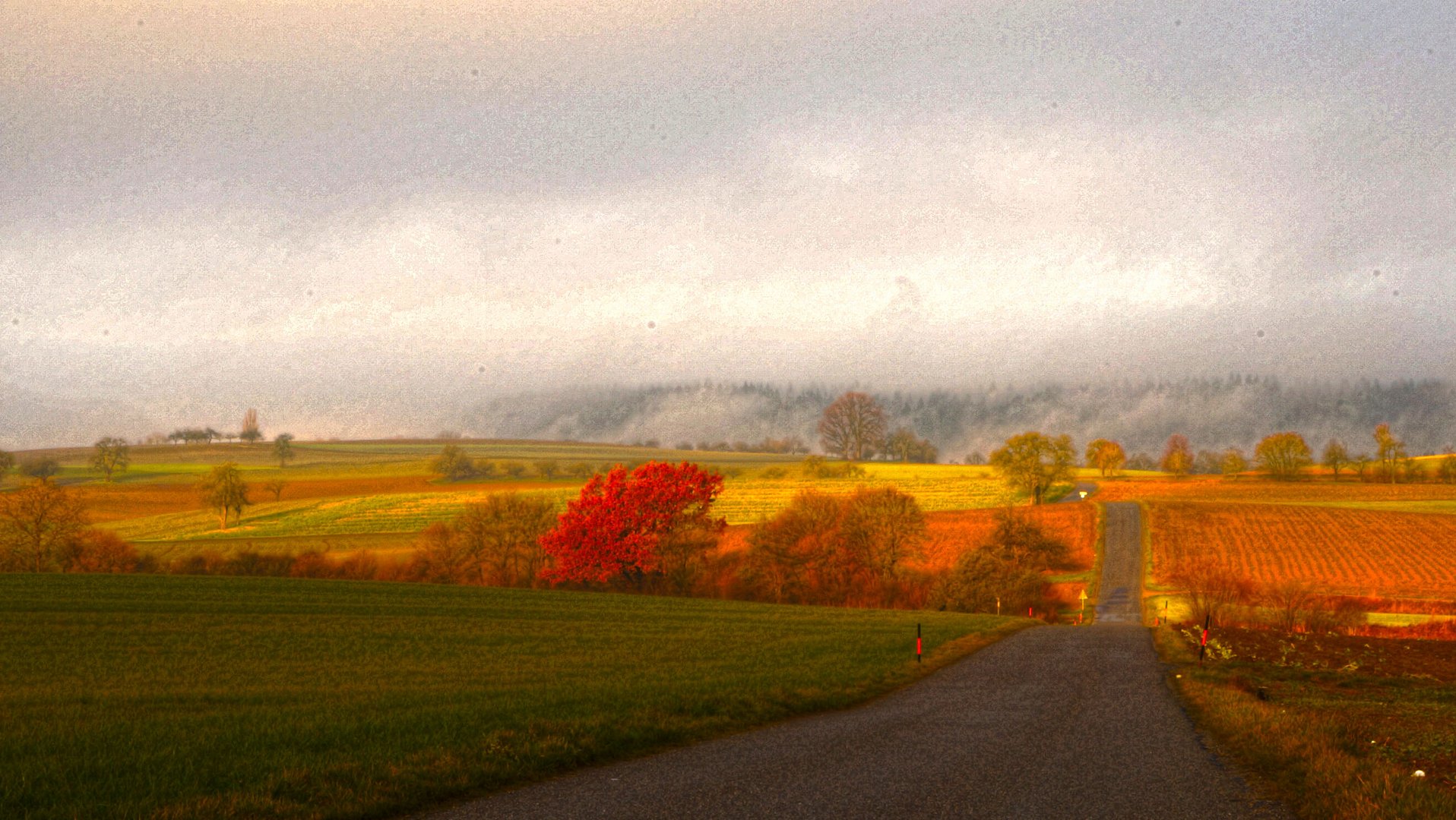 Herbstlichter_1