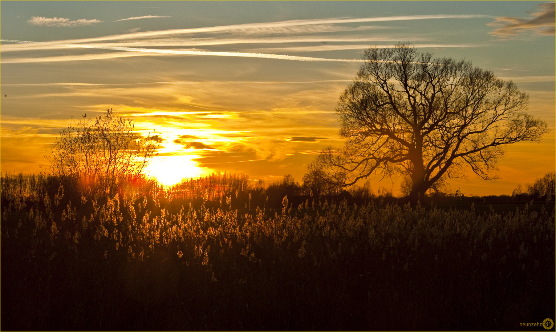 Herbstlichtspiel