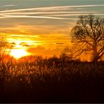 Herbstlichtspiel