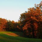 Herbstlichtung