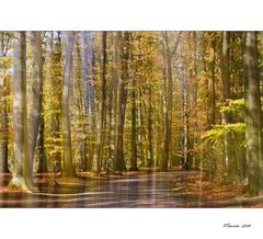 "Herbstlichtzauber"