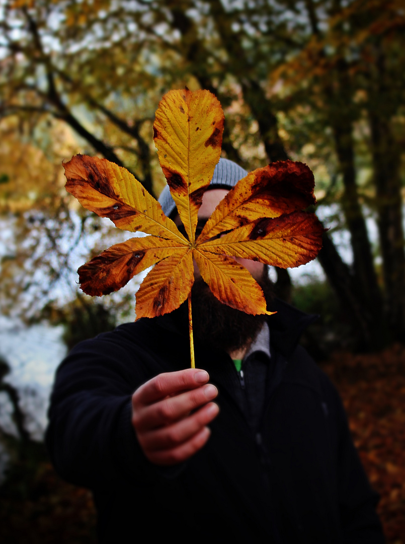 Herbstliebe