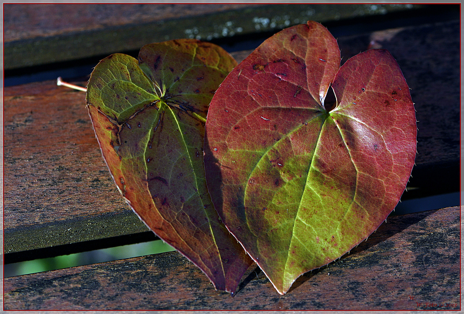 Herbstliebe