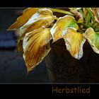 Herbstlied