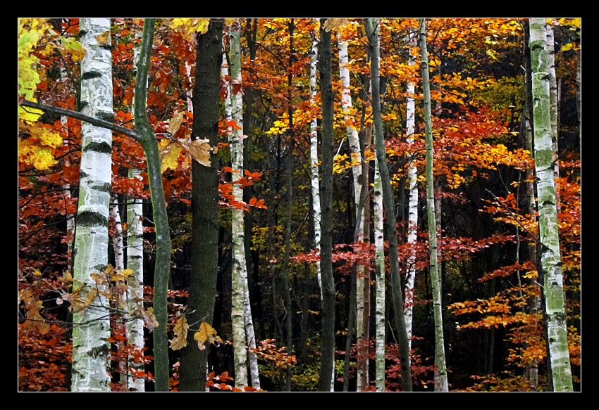 Herbstlied