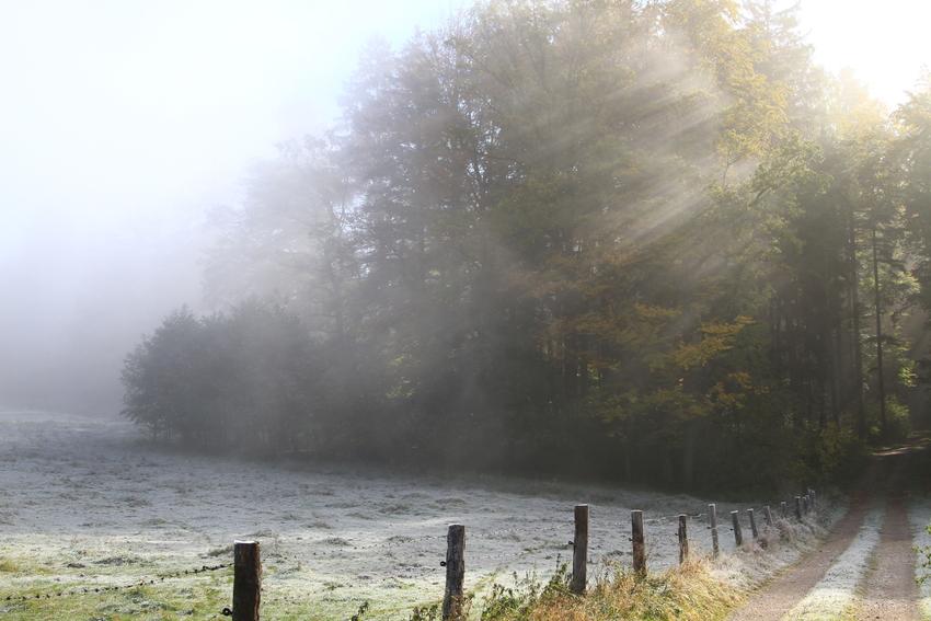 Herbstlied