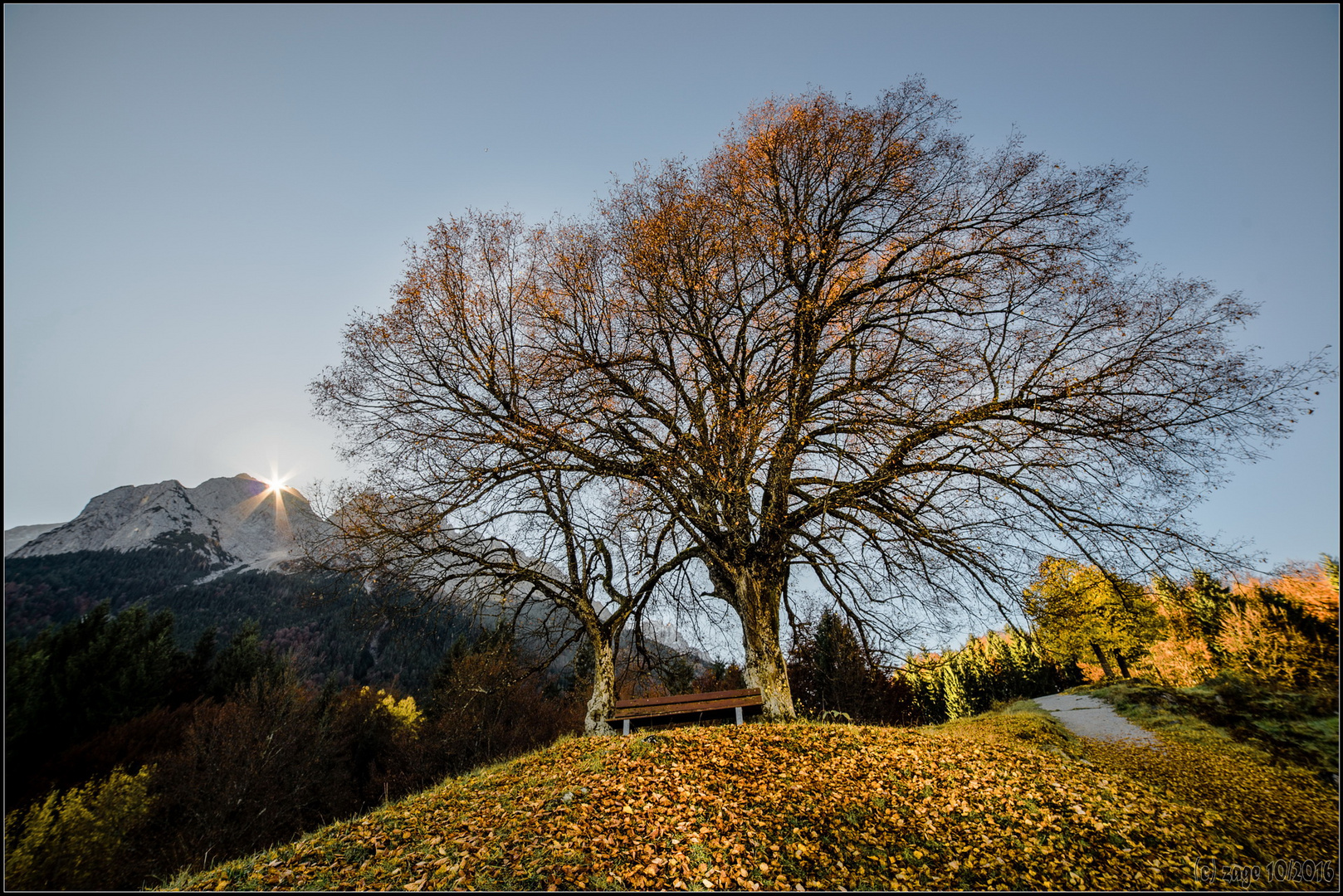 Herbstlinde Grainau