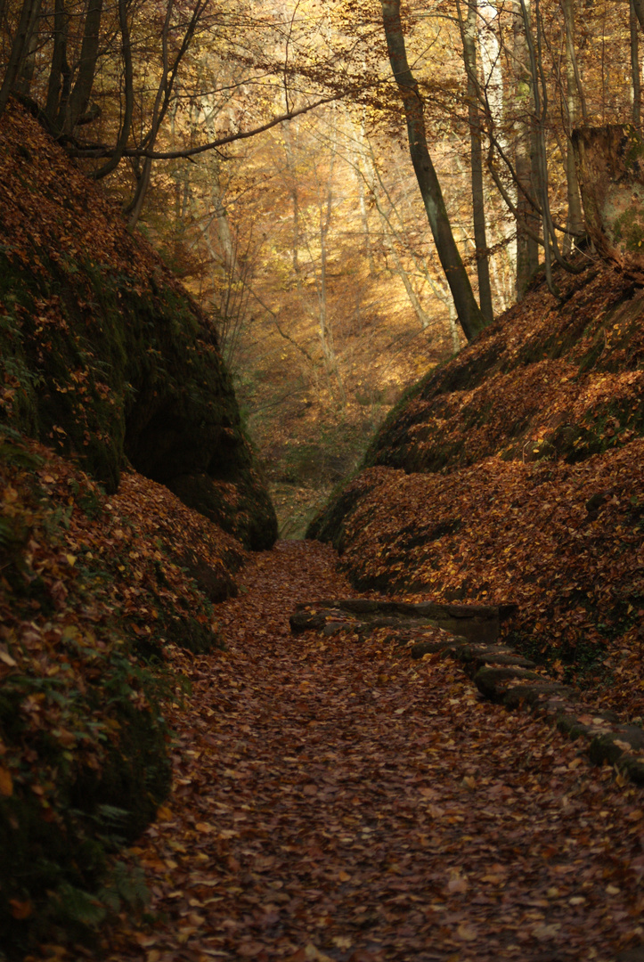 Herbstlische  Wartburg Wanderung 