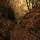 Herbstlische  Wartburg Wanderung 