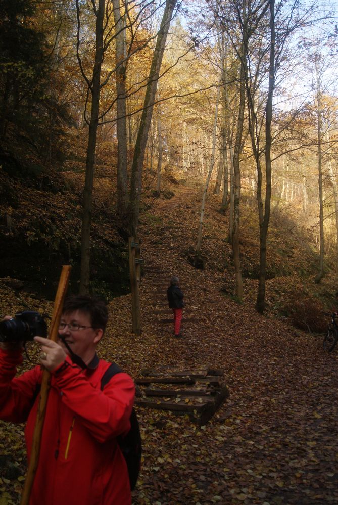 Herbstlische  Wartburg Wanderung 