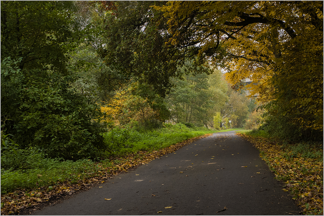 Herbstllicht am Ende des Tunnels