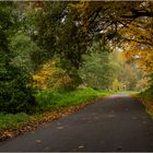 Herbstllicht am Ende des Tunnels