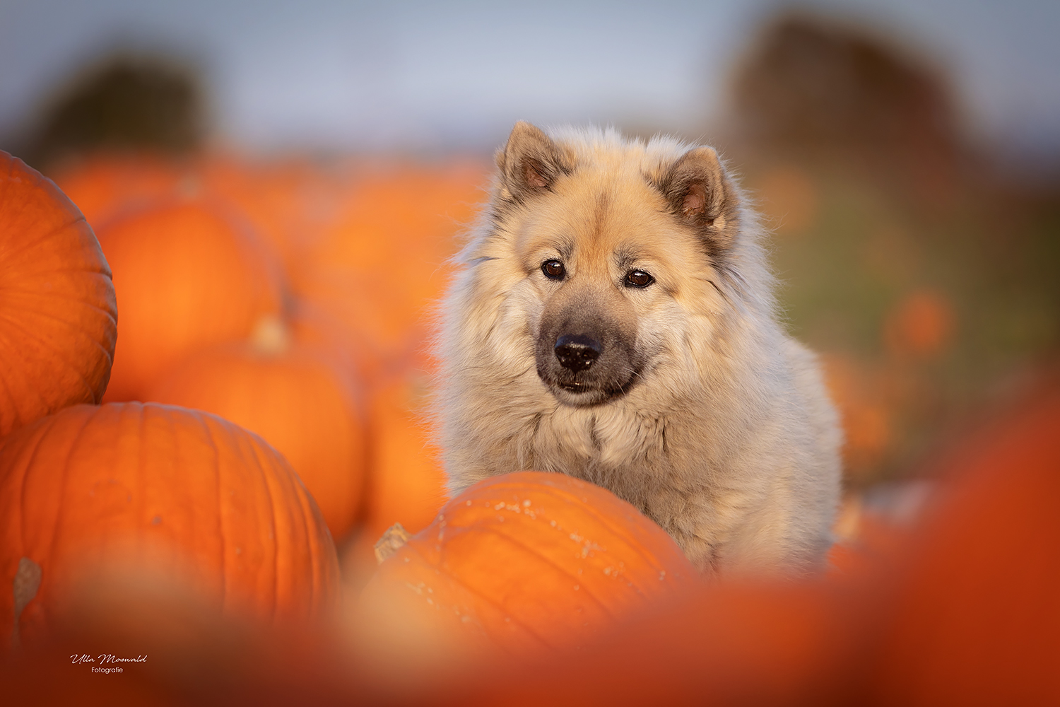 ...Herbstlook...