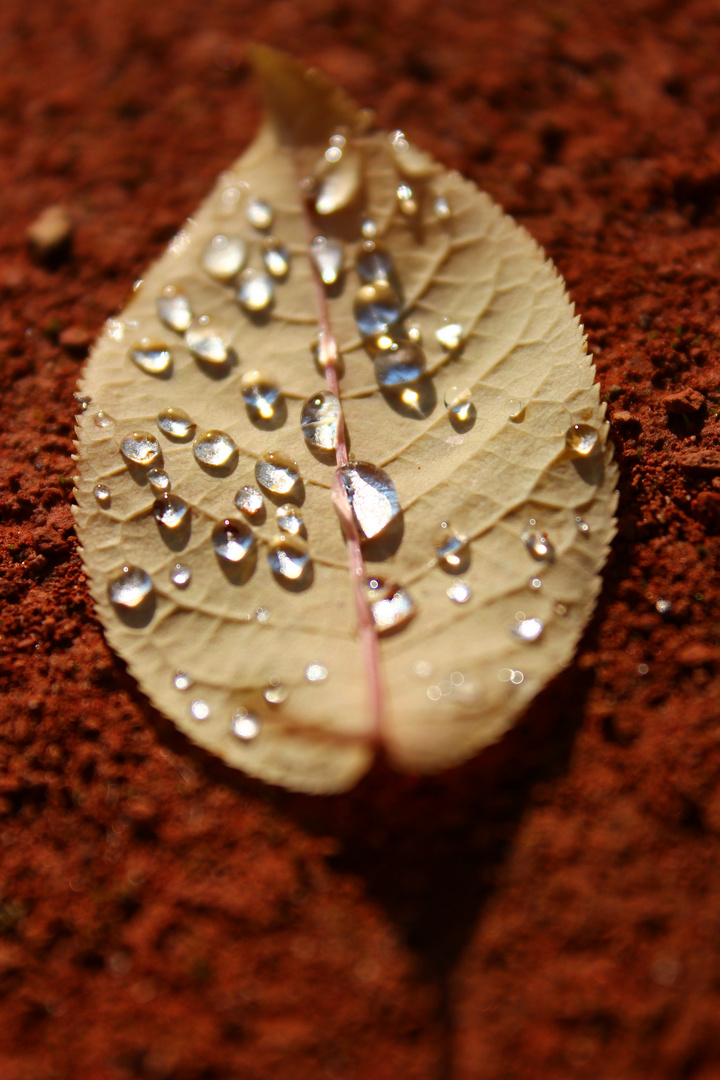 Herbstlook