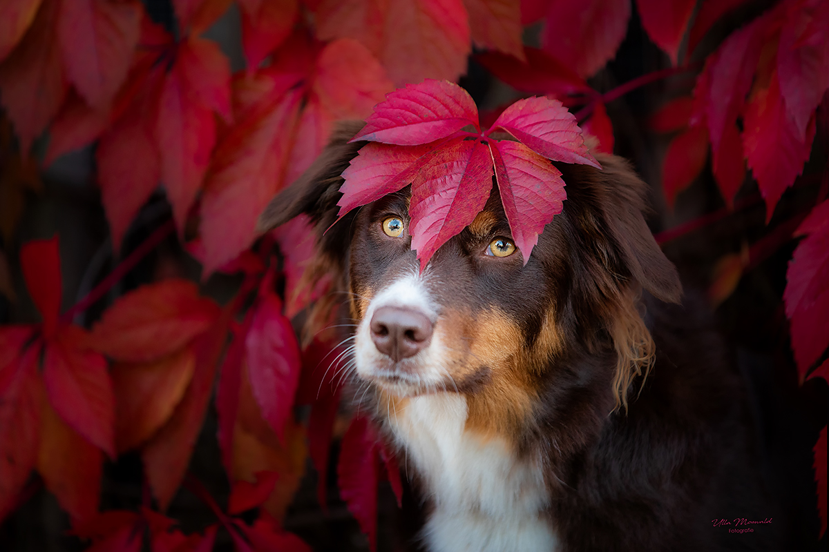 ...Herbstlook...