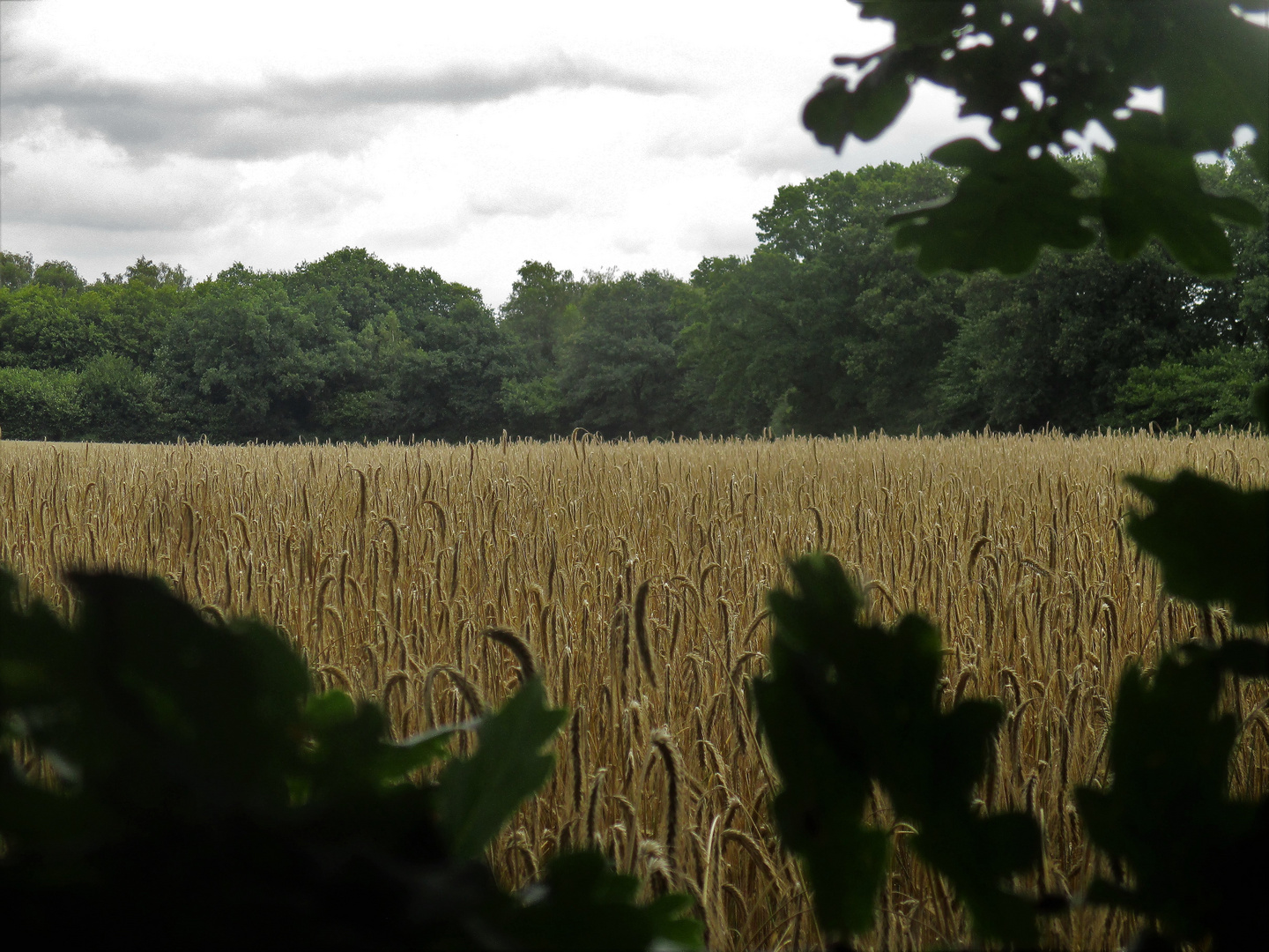 Herbstluft