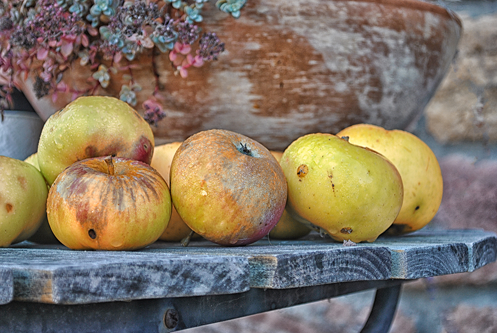 Herbstlust