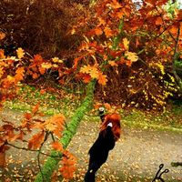 Herbstmädchen