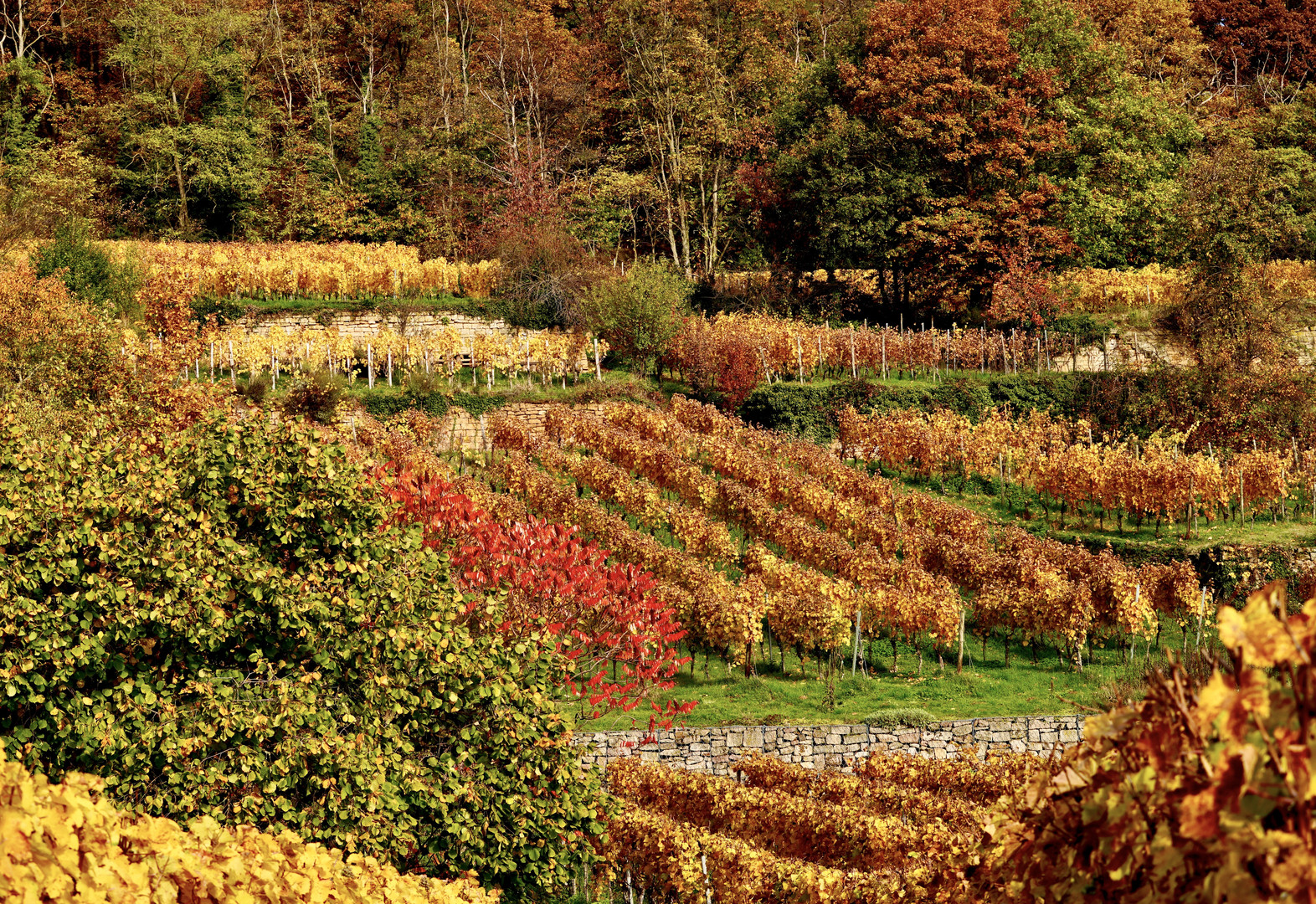 Herbstmärchen