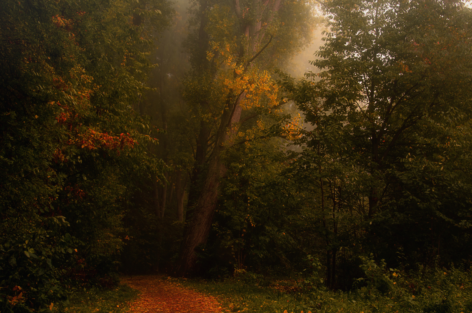 Herbstmärchen